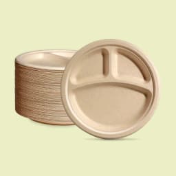 Biodegradable Disposable Plates